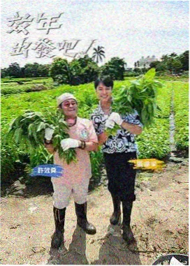 青岛东方影都影视产业园置景街区外观标本图